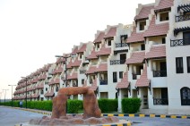 alamElroum-1