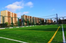 land-1